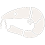 Shrimp